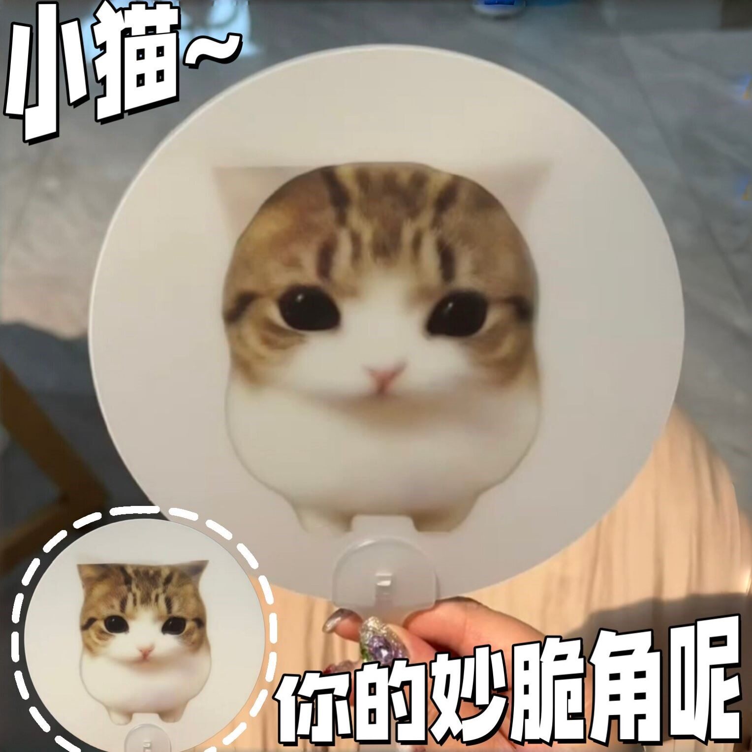 【逐渐圆润】怼脸猫咪表情包扇子妙脆角小猫光栅扇可爱哈基米圆扇