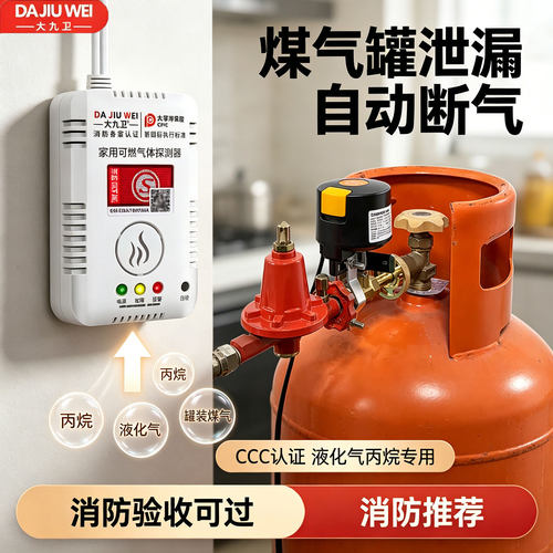 大九卫煤气罐报警器自动切断阀