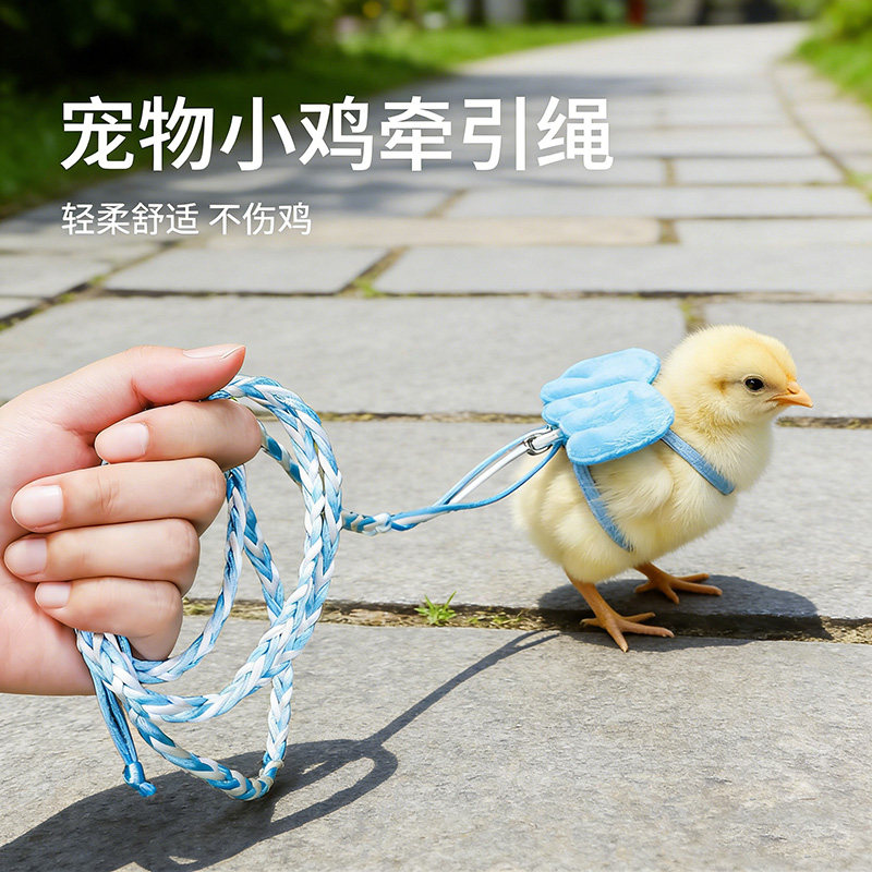小鸡专用牵引绳溜宠物芦丁鸡小鸭子外出的神器遛鸡宝宝的绳子用品