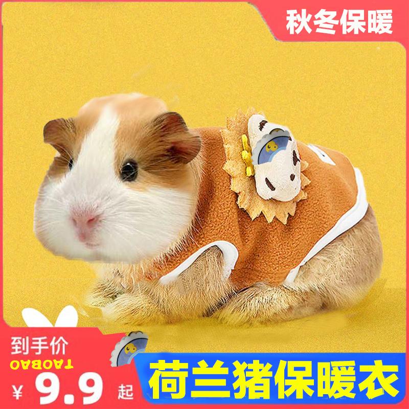 荷兰猪专用小衣服保暖冬天宠物