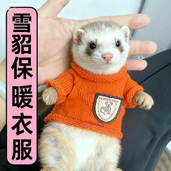 雪貂专用衣服保暖超小号防冷安格鲁貂土拨鼠狐獴穿的小棉衣服用品