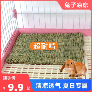 专用品冰窝宠物小兔龙猫荷兰猪防啃咬垫脚垫 兔子草垫降温散热夏季