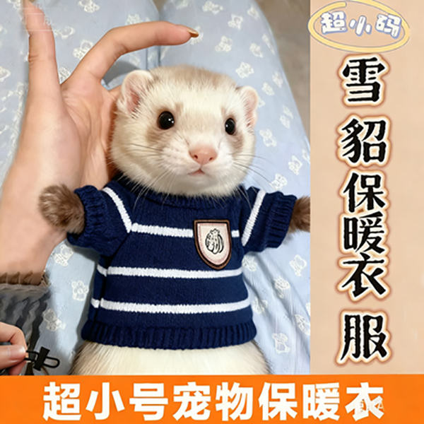 安格鲁雪貂专用衣服保暖超小号秋冬天宠物荷兰猪土拨鼠狐獴的衣服