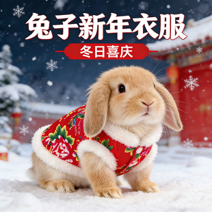 小兔子保暖棉袄新年穿的衣服红色喜庆宠物侏儒垂耳兔过年装饰用品