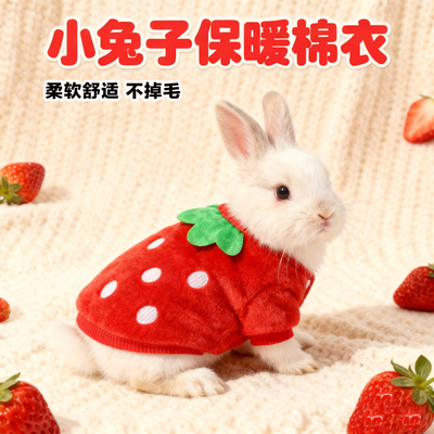 小兔子衣服过冬专用超小号保暖侏儒幼兔可爱冬装背心过冬神器用品