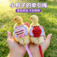 小鸭子 绳子用品 牵引绳溜宠物鸭子神器可调节宠物柯尔鸭小鸡穿