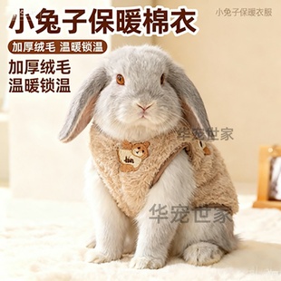 小兔子保暖衣服秋冬天加绒防着凉背心宠物侏儒垂耳兔可爱过冬棉衣
