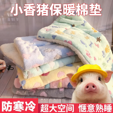 小香猪保暖垫子冬天防着凉寒冷毛毯宠物迷你网红猪睡觉的棉窝用品