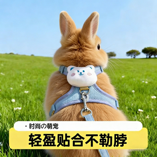 小兔子牵引绳防挣脱可伸缩背心溜龙猫侏儒垂耳兔专用绳子外出神器