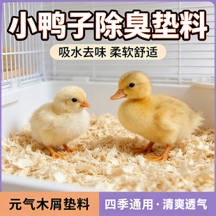 柯尔鸭除臭垫料小鸡发酵床宠物小鸭子去屎尿臭味木屑芦丁鸡粪便笼