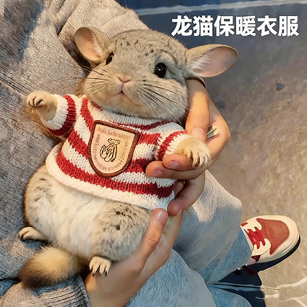 龙猫专用衣服1斤可用保暖超小号荷兰猪土拨鼠貂豚鼠狐獴穿的衣服