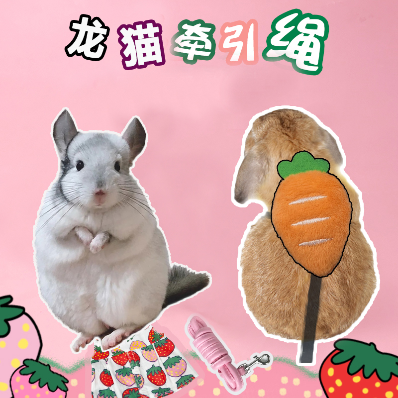 猫牵引绳外出宠物遛溜龙专用