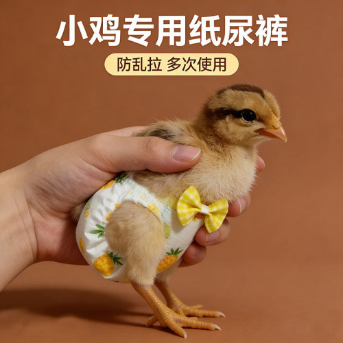 宠物小鸡穿的尿不湿可爱衣服品