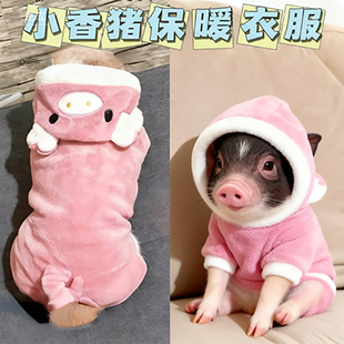 衣服保暖秋冬天加绒加厚防寒可爱迷你小猪衣服用品 宠物小香猪穿