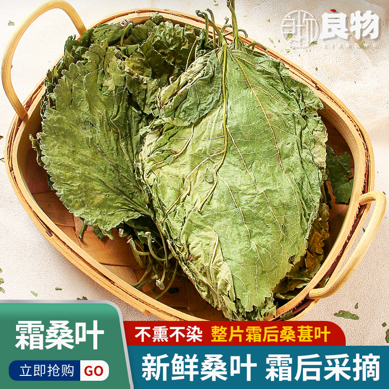 霜后桑葚叶中药材霜打桑叶茶新鲜秋后霜打整片桑葚树叶干货霜桑叶
