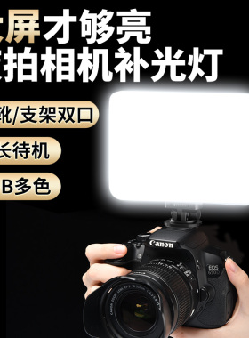 相机打补光灯摄影专业单反户外夜景便携式充电led拍照微单摄影灯手持美颜人像视频bluesong适用佳能索尼富士