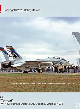 HM1:72F-14A VF-143 