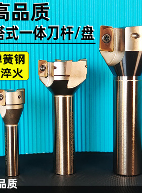 炮塔铣床刀杆刀盘普铣飞刀杆C16/C20直柄面铣刀盘直角刀杆C16柄R5