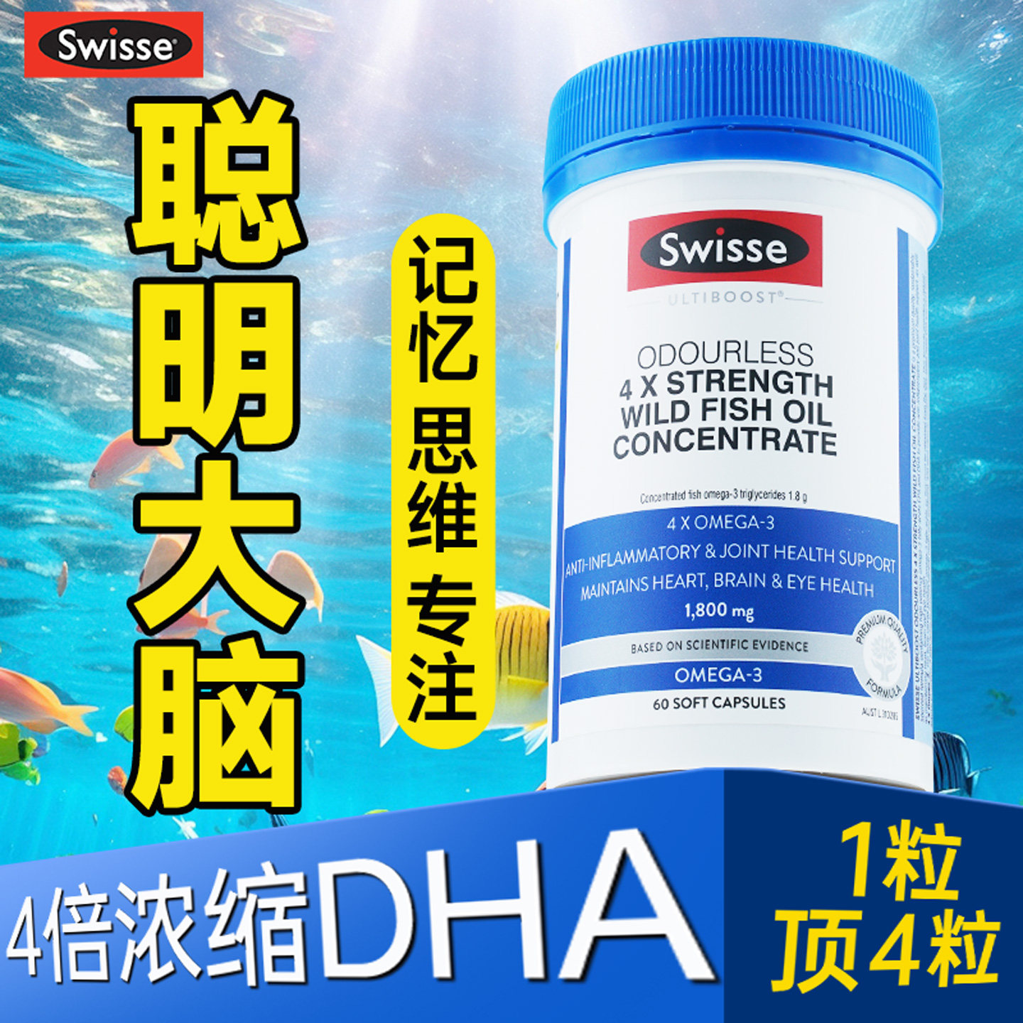 高浓度DHA鱼油学生学习辅助记忆