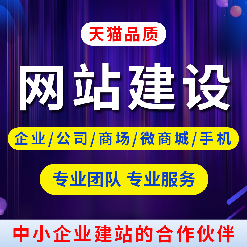 公司网站建设网页设计制作企业公司做外贸网站模板定制开发一条龙