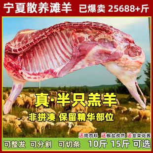 羊肉新鲜宁夏滩羊肉现杀滩羊盐羊排半只羊半羊非池新疆整只礼盒