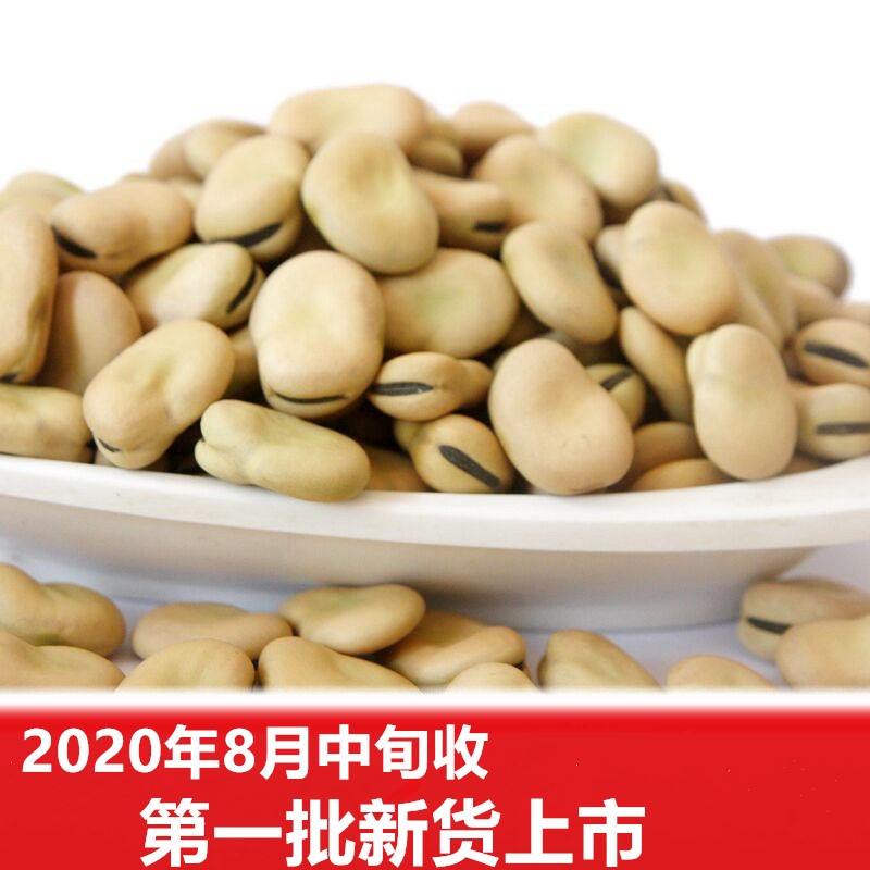 农家2021年新货5斤大散装颗粒新鲜罗汉豆大白生蚕豆
