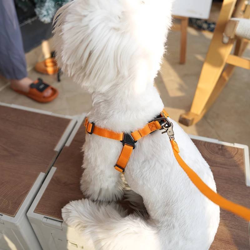 狗狗牵引绳小型犬背心式柯基比熊泰迪中型犬胸背带遛不勒脖狗绳