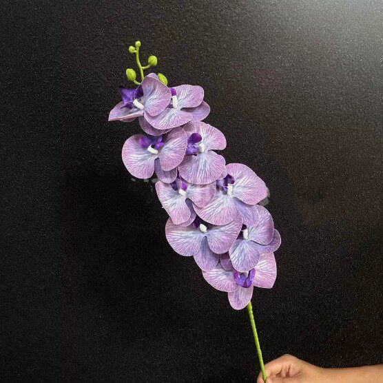 9头3D胶片蝴蝶兰仿真花高