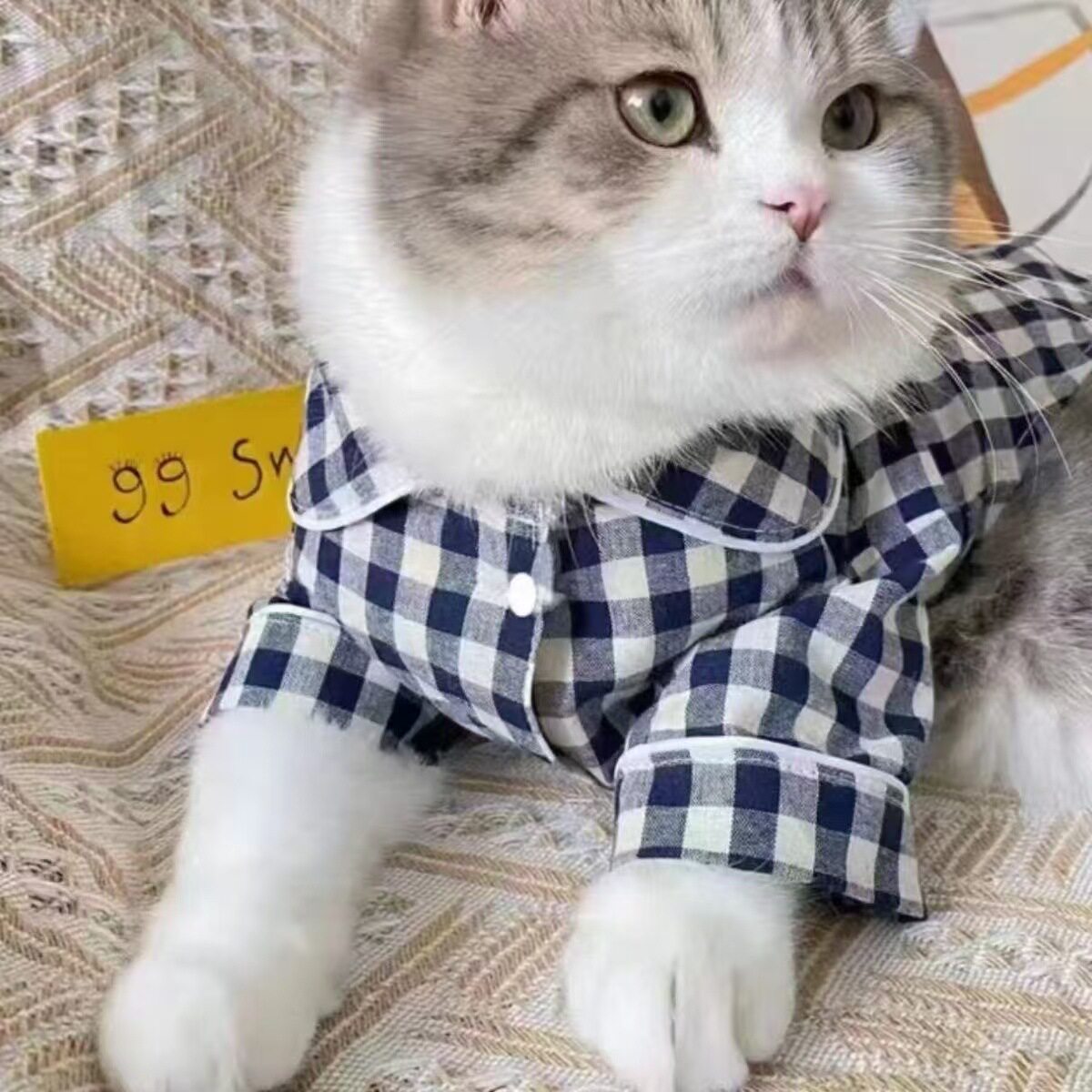 宠物猫猫狗狗夏款两色格子小衬衫猫咪INS风居家睡衣宠物比熊衣服