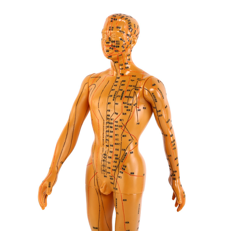 旋转中医经络图针灸人体穴位模型按摩教学全身男小铜人超清晰刻字