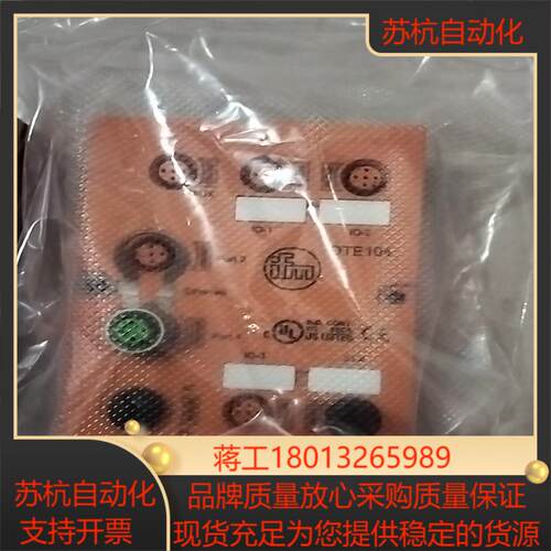 全新IFM易福门估算单DTE104