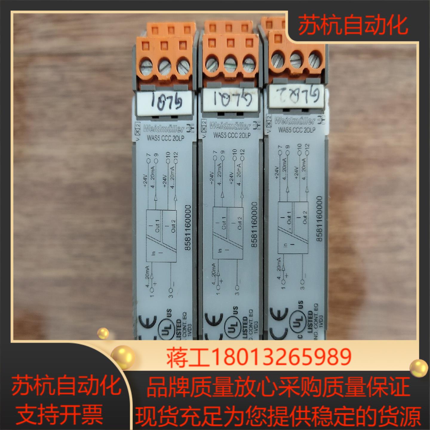 魏德米勒WASSCCC2OLP安全栅货号8581160
