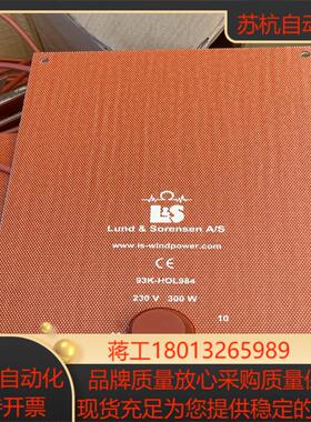 Lund&Sorensen93K-HOL984 300W