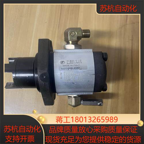 RONZIO意大利罗兹油泵02ZCG06L434D拆