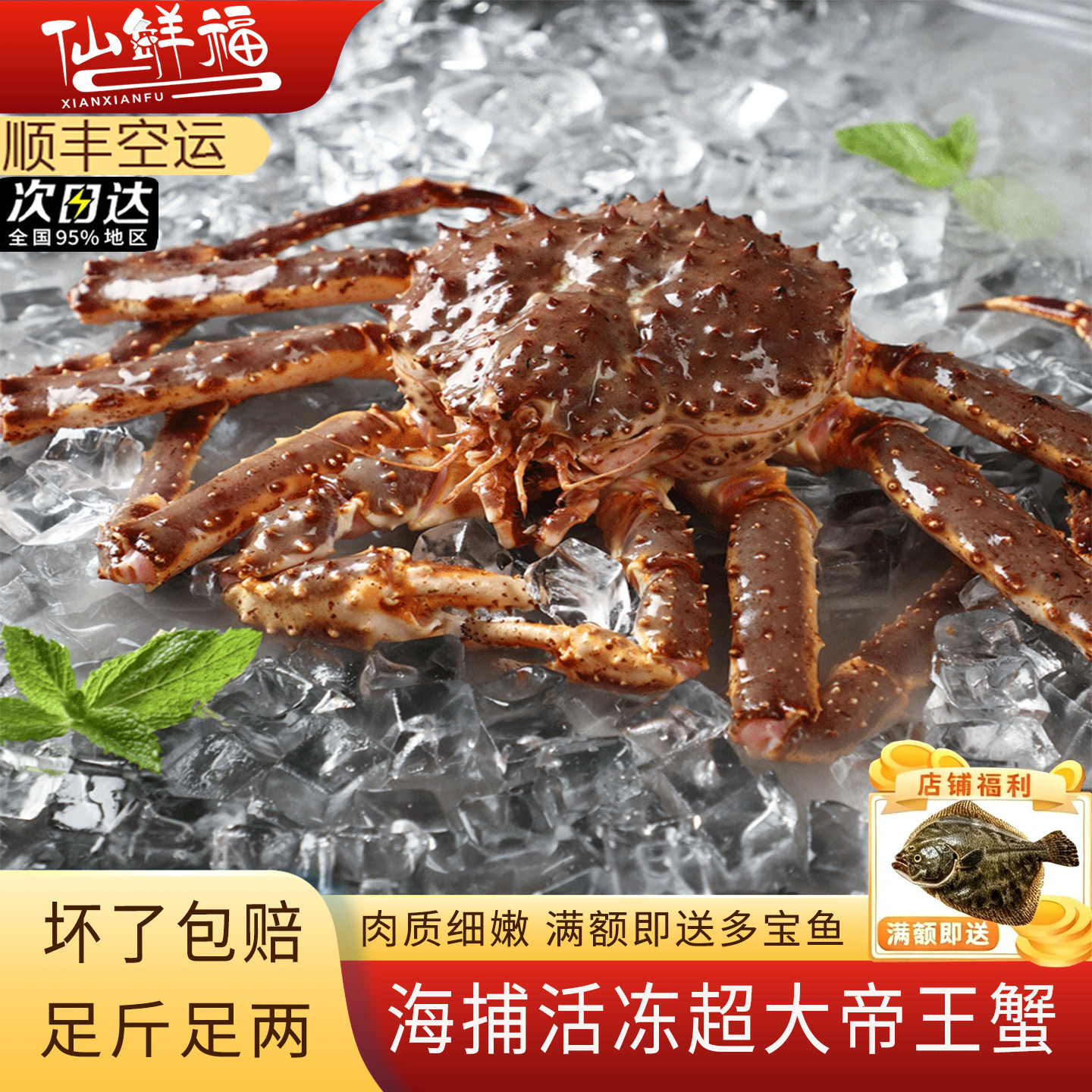 俄罗斯进口特大帝王蟹鲜活冷冻图片