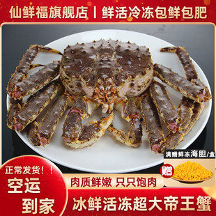 特大5-10斤帝王蟹鲜活冷冻进口俄罗斯帝皇螃蟹冰鲜海鲜阿拉斯加蟹