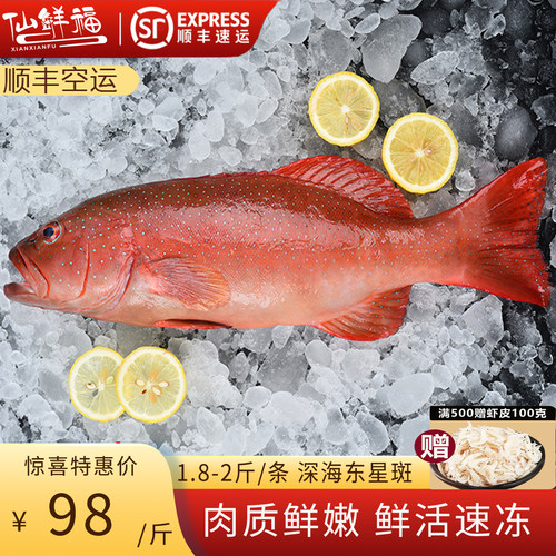 【1.8-2斤/只】鲜活冷冻东星斑