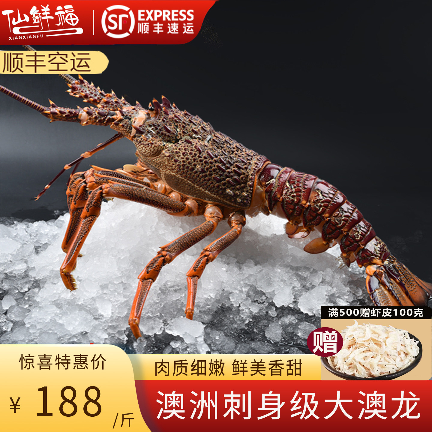 2-6斤特大澳洲大龙虾澳龙鲜活冷冻海鲜大奥龙波士顿龙虾年货送礼