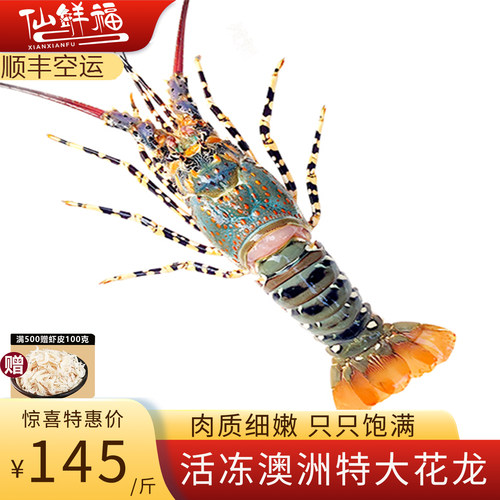 澳洲鲜活冷冻特大花龙虾顺丰冷链