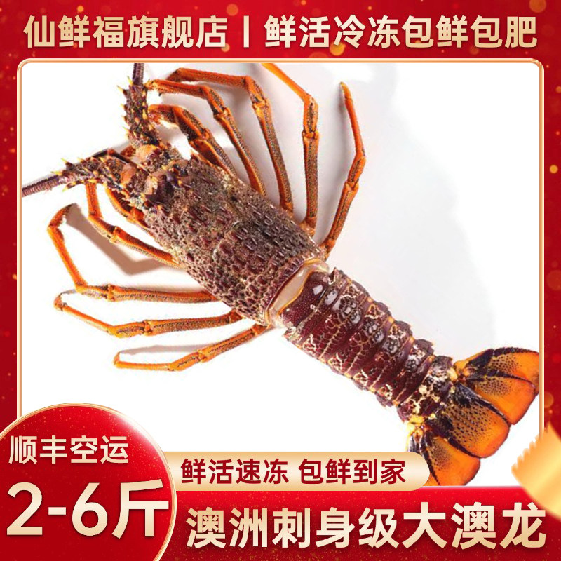 特大澳洲大龙虾澳龙鲜活冷冻海鲜2-6斤大奥龙波士顿龙虾年货送礼