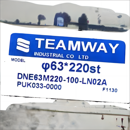 台湾 DNE63M220-100-LN02A TEAMWAY氣缸