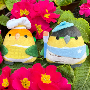 千鹦鸟舍可爱鹦鹉周边玩偶凯克胸针吧唧糖果钥匙袋装饰品包包挂件