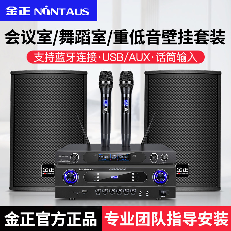 金正中小型会议室专用音响套装舞蹈清吧餐厅健身房壁挂全套音箱