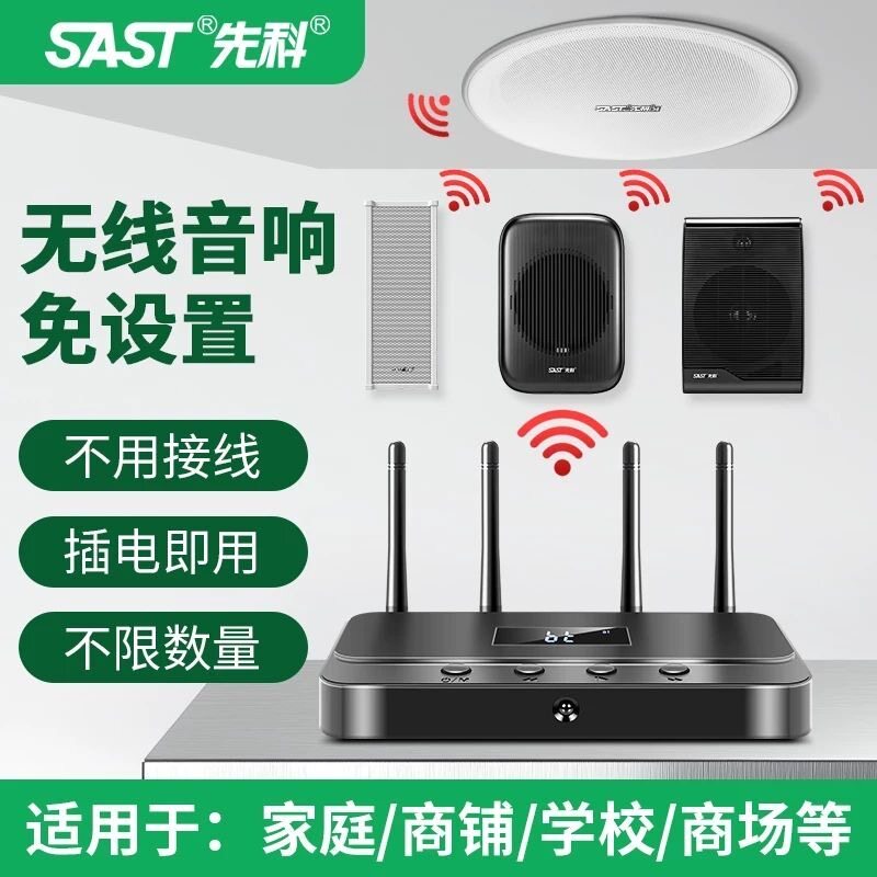 先科D1壁挂音响无线蓝牙挂墙式商用餐厅广播喇叭系统音箱店铺专用