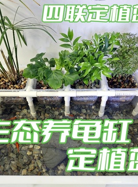 生态龟缸定植篮水培托架龟箱绿植盆栽花架植物种植盒养龟箱植物