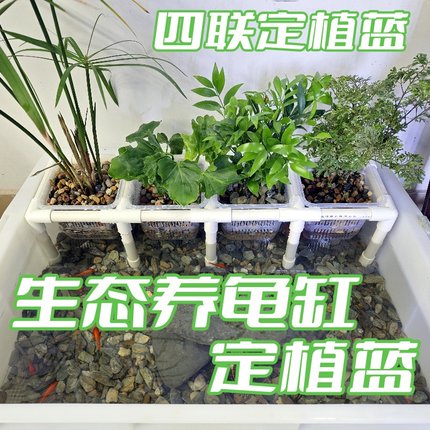 生态龟缸定植篮水培托架龟箱绿植盆栽花架植物种植盒养龟箱植物