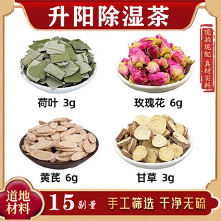 荷叶 玫瑰 黄芪 甘草中药材组合养生茶 解决春困烦恼 升阳除湿茶