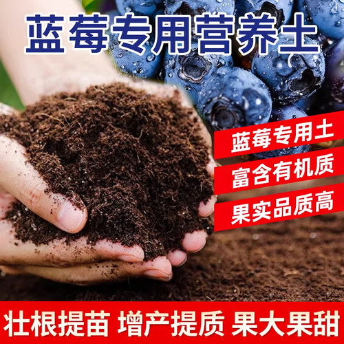 蓝莓专用土瓜果树通用土壤