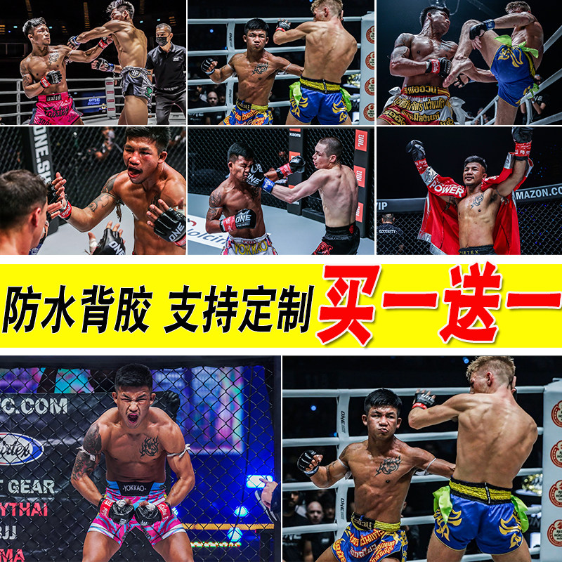 罗唐海报宿舍自粘壁纸卧室墙贴