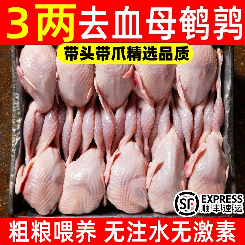 新鲜现杀去血鹌鹑肉整箱顺丰